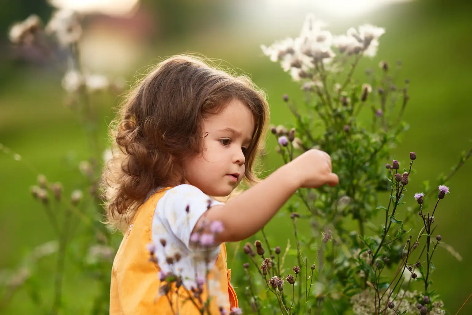 Garde des enfants et Droits de visite | Avocat en Droit de la Famille | Flora Richard Flachaire